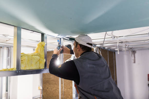 Best Specialized Insulation Services in Holiday Shores, IL
