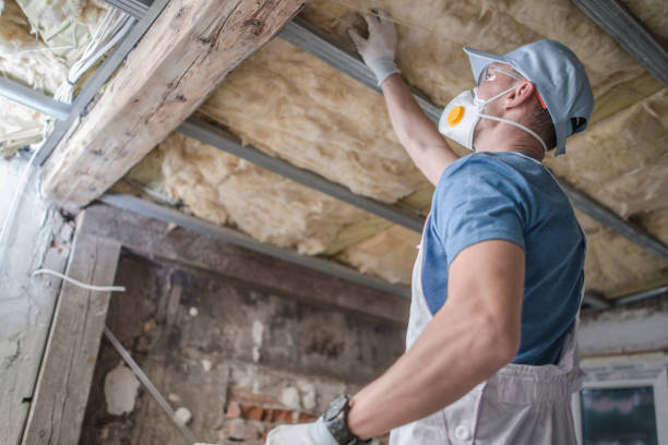 Types of Insulation We Offer in Holiday Shores, IL