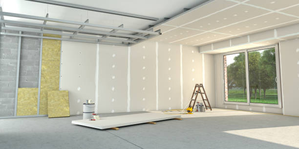 Best Insulation Maintenance and Repair in Holiday Shores, IL